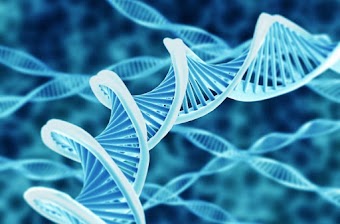 SE DNA É SOFTWARE, QUEM ESCREVEU O CÓDIGO?