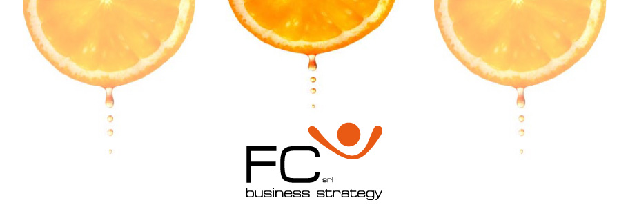 FC SRL BUSINESS STRATEGY