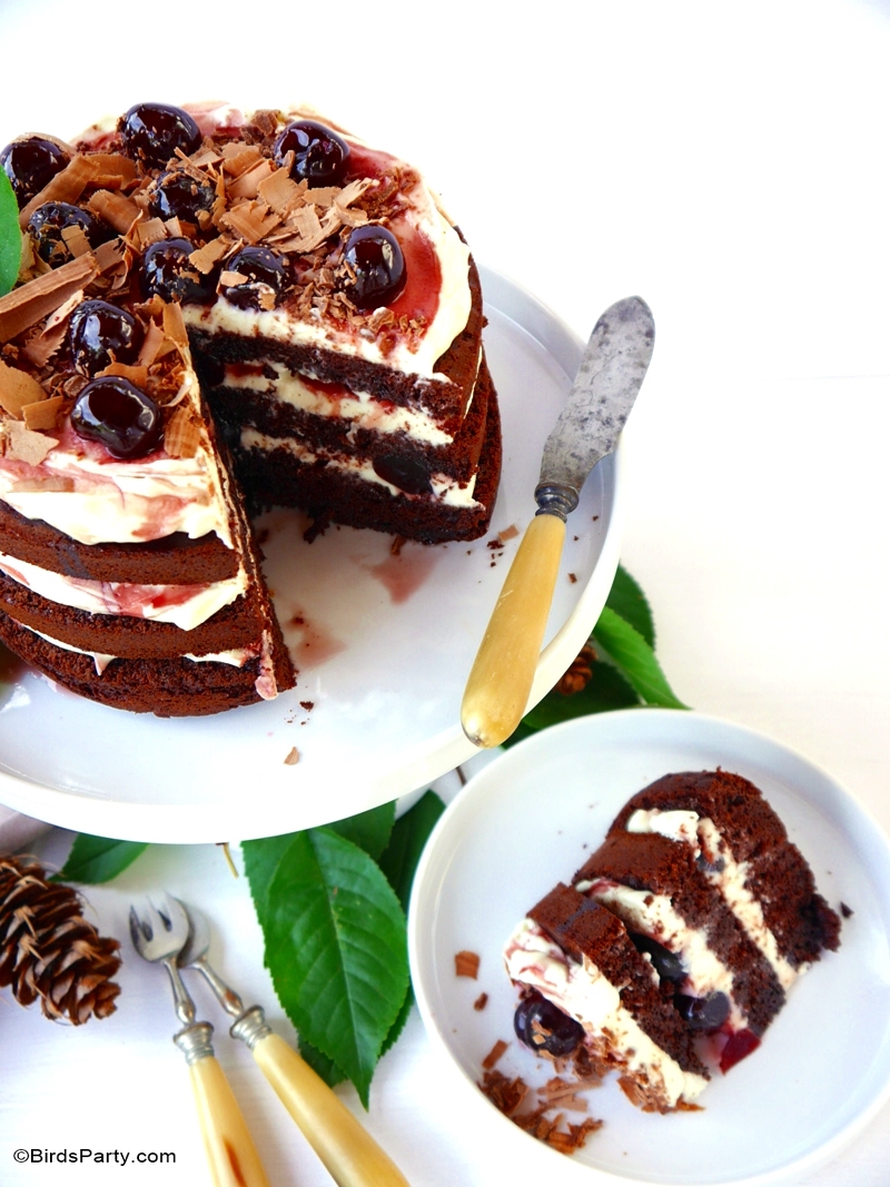 Easy Black Forest Gateau Cake Recipe - BirdsParty.com