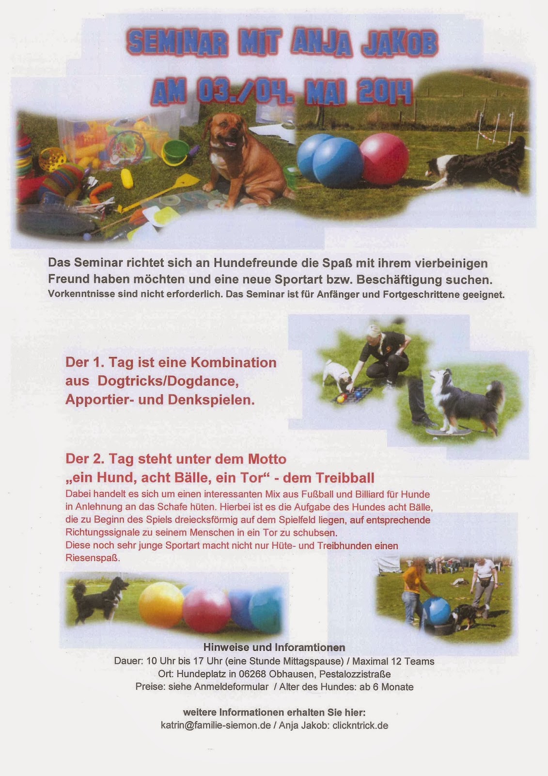 Die Inselzeitung Mallorca Februar 2018 By Die Inselzeitung