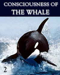 Consciousness of the Whale - Part 2