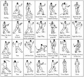 Cara Belajar Wing Chun Otodidak Rasanya Cara Belajar Wing Chun Otodidak Rasanya