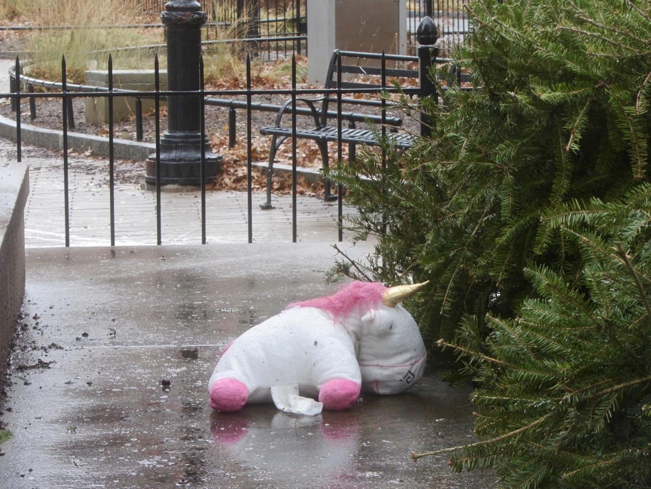 EV Grieve: Today in unicorn sightings on Cooper Square
