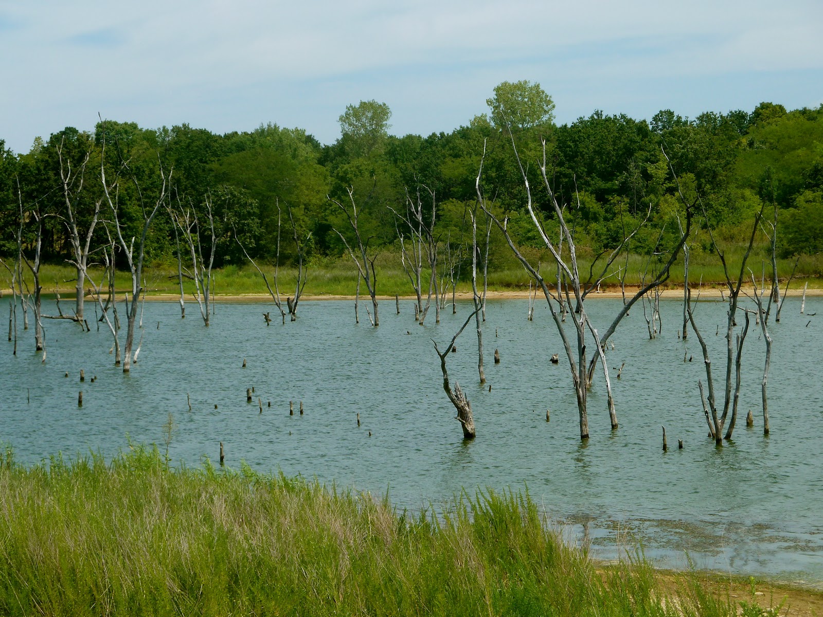 smithville lake mountain bike trails