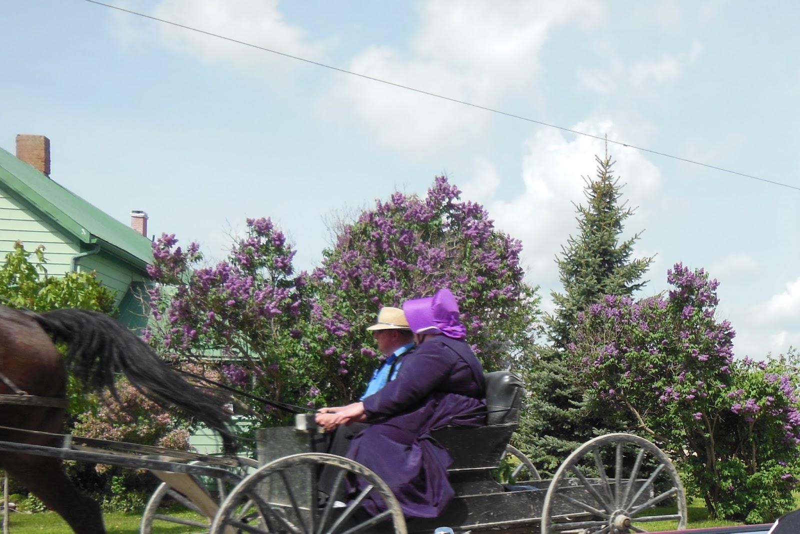 Chantal Guillermet St Jacobs Quilt Show & la fin du voyage