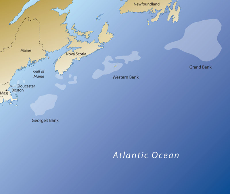 Lightwaveseeker: COD: ...The Fish That Changed the World in 1,000 Years