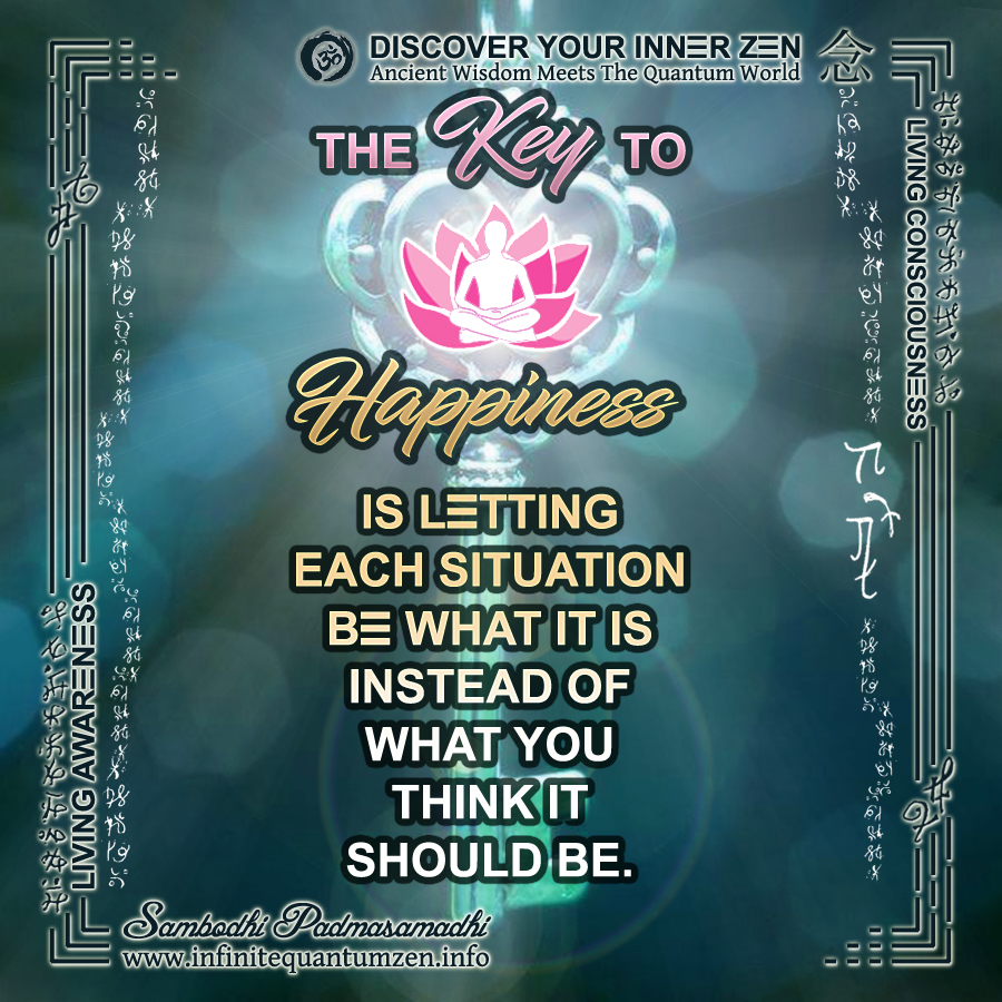 The Key to Happiness is letting each situation be what it is instead of what you think it should be - Infinite Quantum Zen, Success Life Quotes