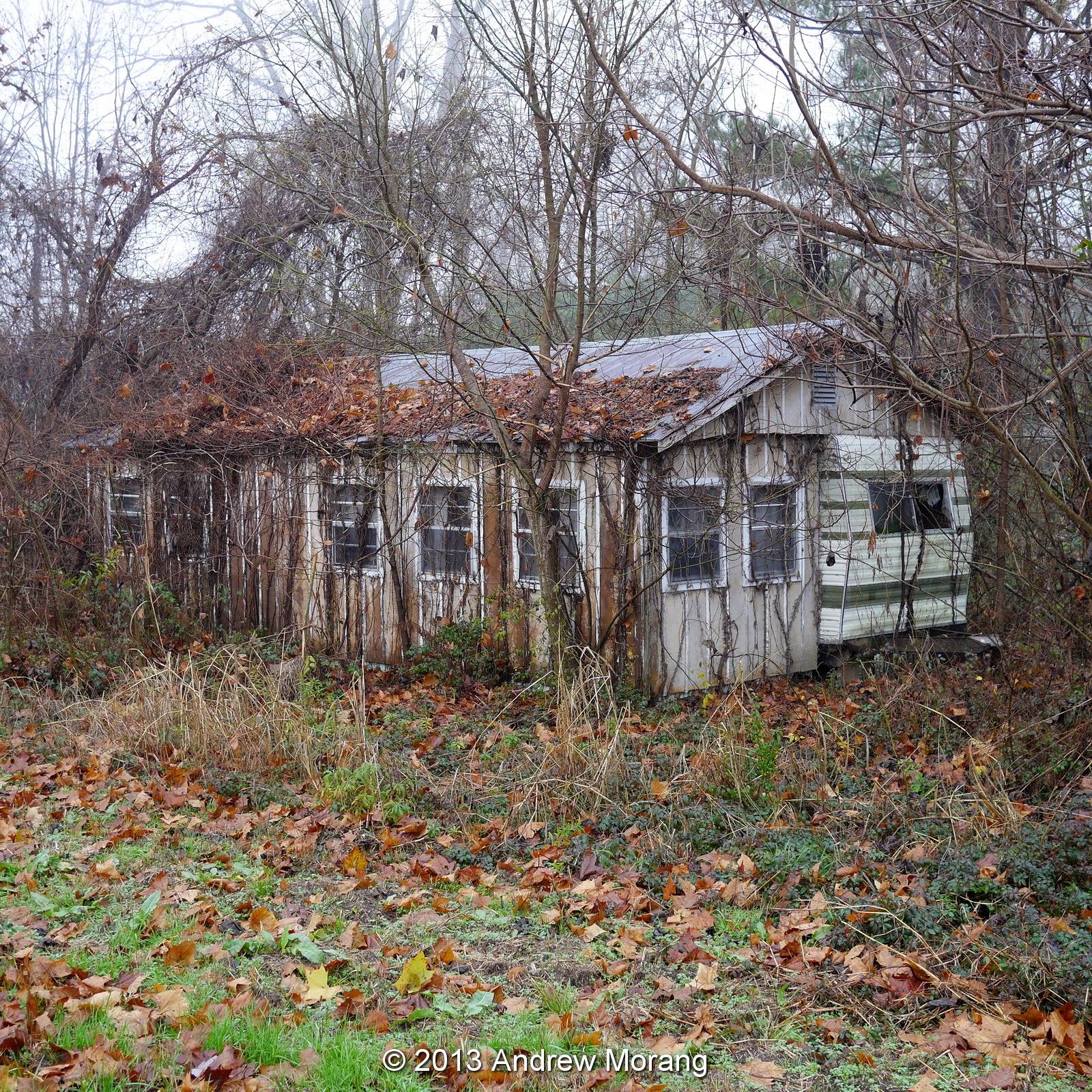 Urban Decay Eagle Lake and Chotard Landing, Mississippi Quiet Living