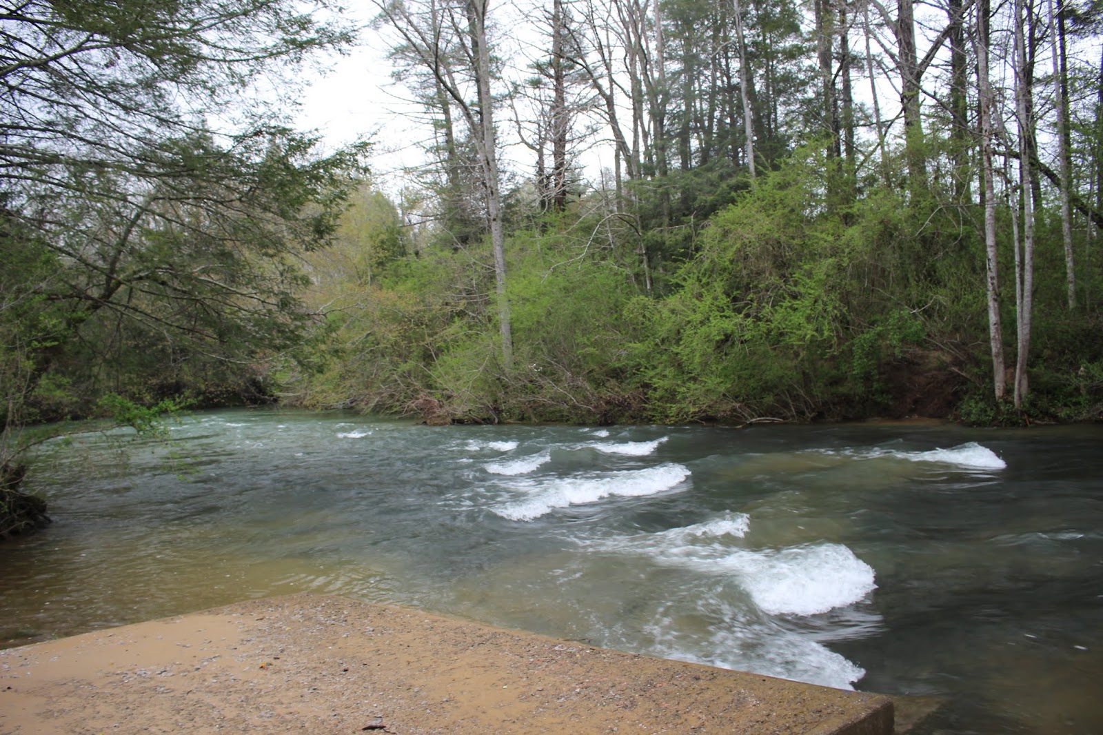 Cumberland Gal Crab Orchard Mountain Exploring