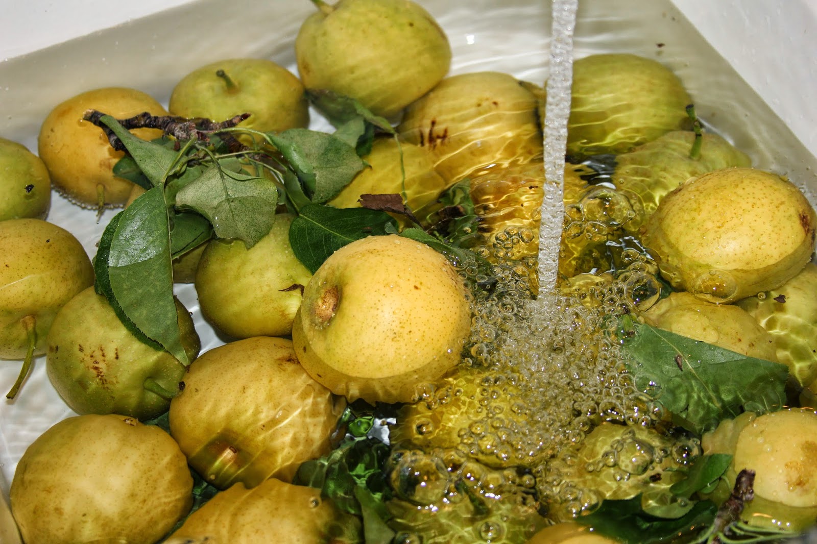 Time of Our Lives Delicious Dehydrated ApplePears