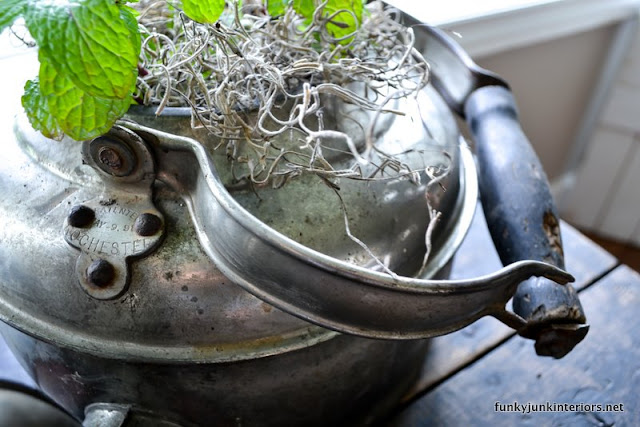  indoor herb garden planted in old kettles via Funky Junk Interiors