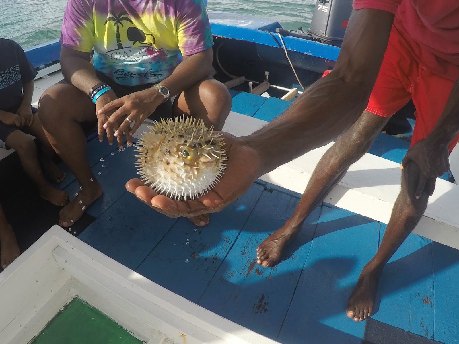 Glass Bottom Boat Beaches Resort & Spa Negril Building Our Story