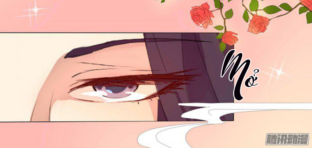 Hỏa Hồ - Chương 1 - Trang 22