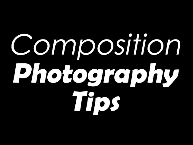 Photography Tips: Composition and Framing in Photography