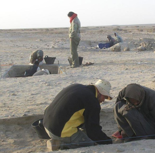2,000 year old pet cemetery discovered in Egypt The Archaeology News