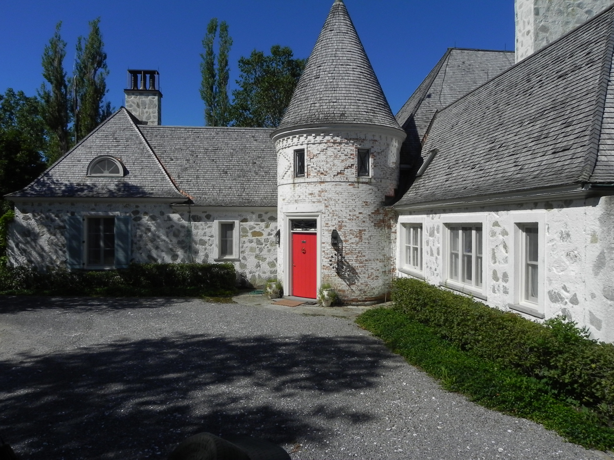 Moristotle & Co. Among the botanics