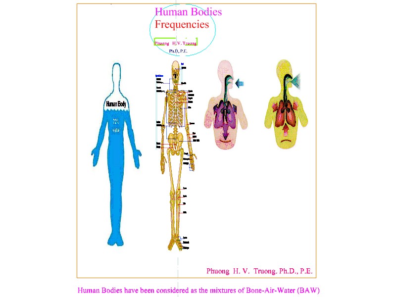 Human Body: Mixture of Bone-Air-Water (BAW)