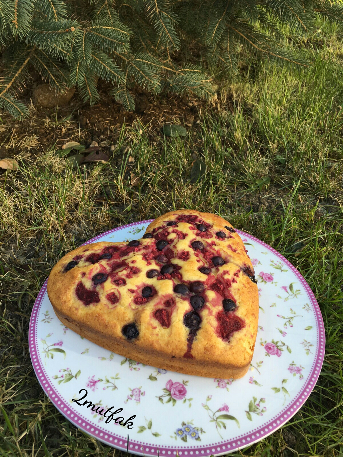 Yabanmersinli, Frambuazlı Lorlu Kek2mutfak