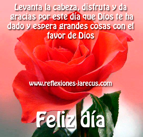 Levanta la cabeza, disfruta y da gracias por este día que Dios te ha dado y espera grandes cosas con el favor de Dios. Feliz día