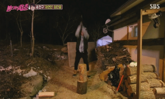 ss2.gif