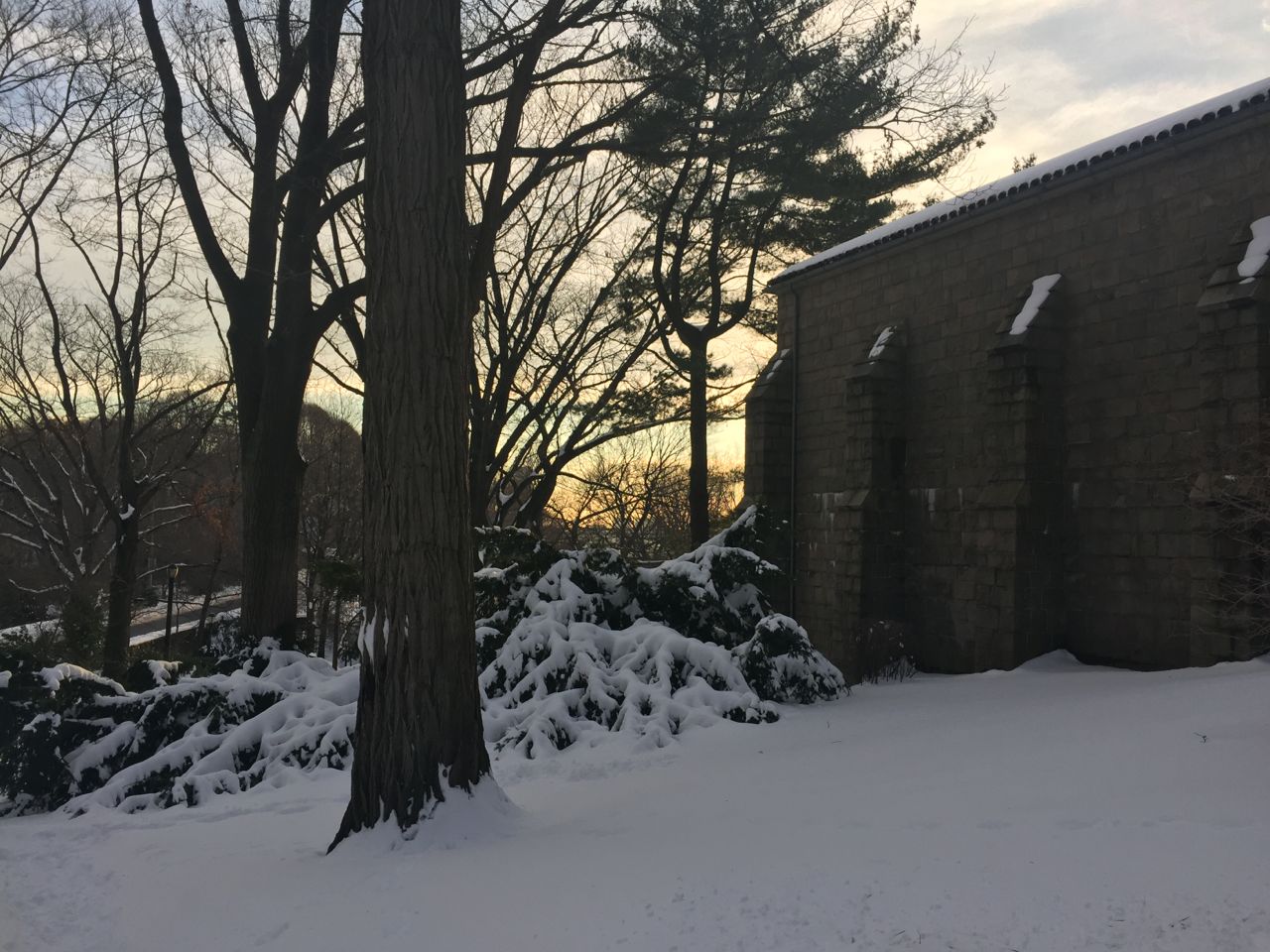 A Winter Walk in Fort Tryon Park and The Cloisters