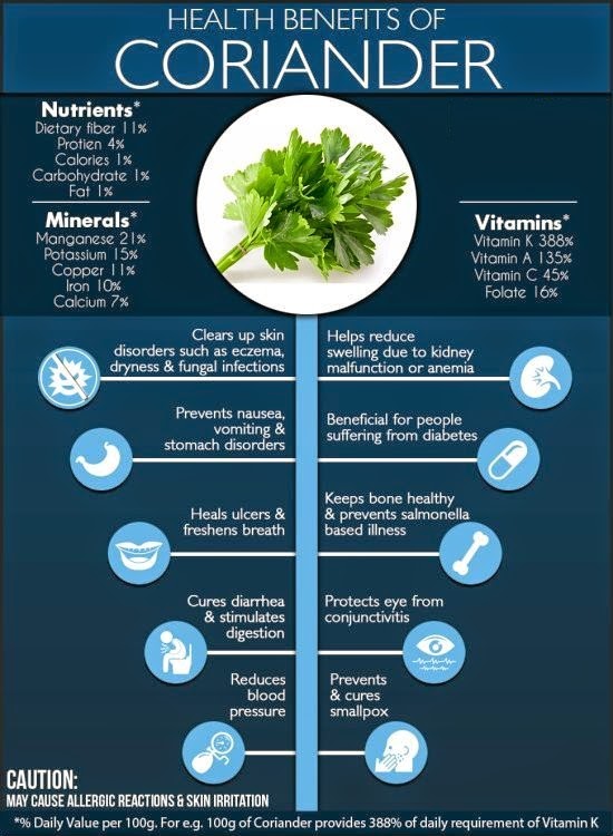 Fresh Coriander Leaves have Innate Health Secrets