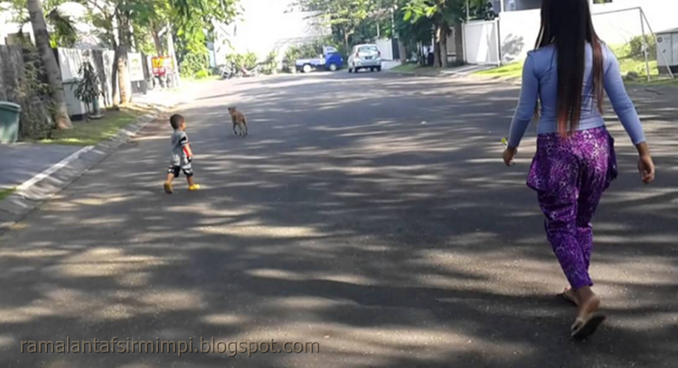 14 Arti Mimpi Dikejar Orang Gila Menurut Primbon Jawa Yang Lengkap