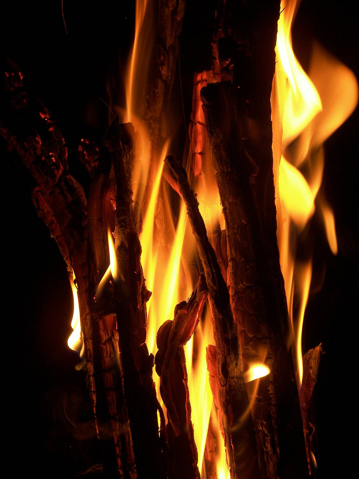 Writing Poetry, Or Taking Up The Torch.