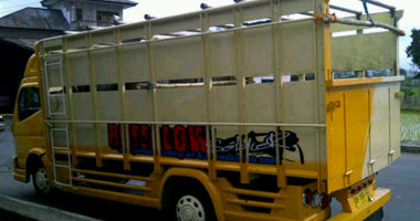 26 Variasi Bak Truk Irma Sofyan