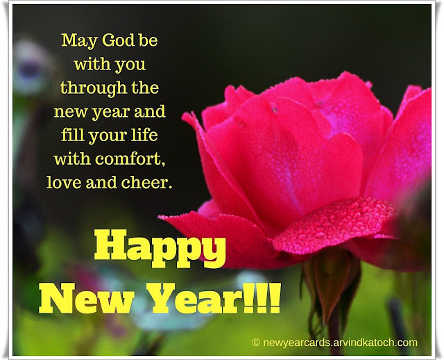 Happy New Year, New Year Card, Pink Rose, Love, God, Cheer,