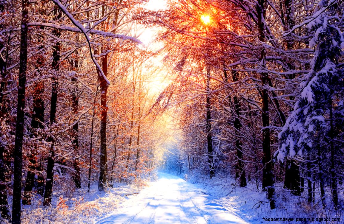 Winter Deep Silence Wallpaper Picture