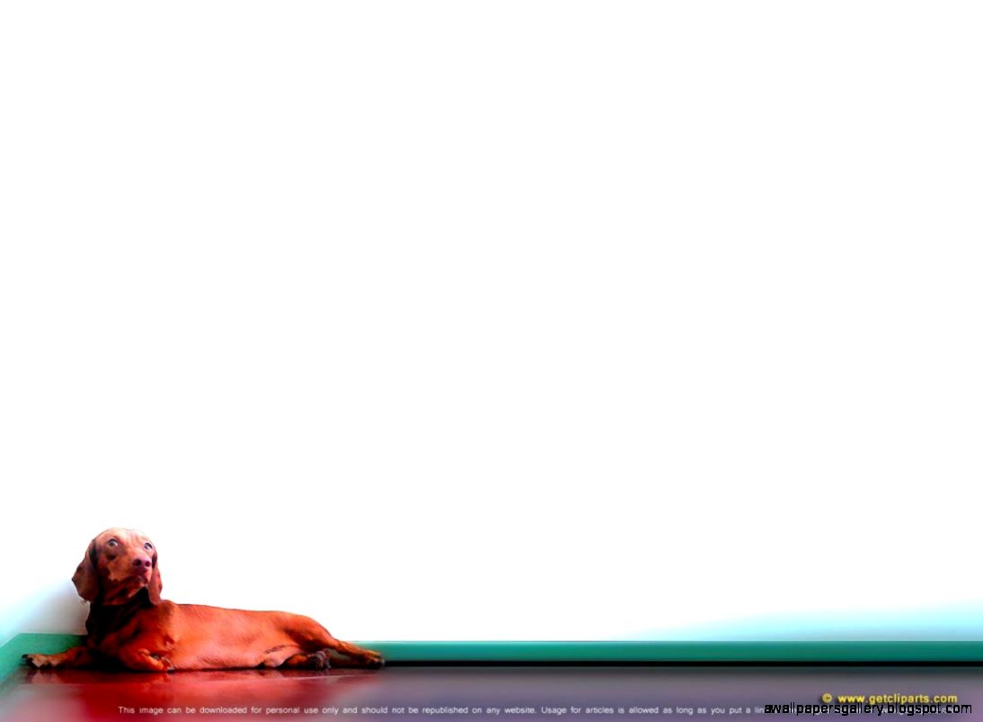 Dog Background Powerpoint Wallpapers Gallery