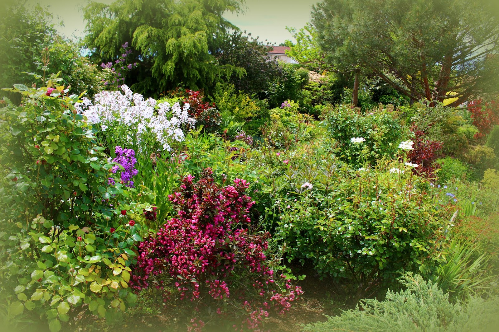 Catalogue Journees Des Plantes De Courson 2013 By Domaine De