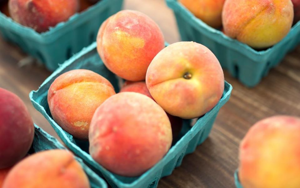 Texas Peach Festival