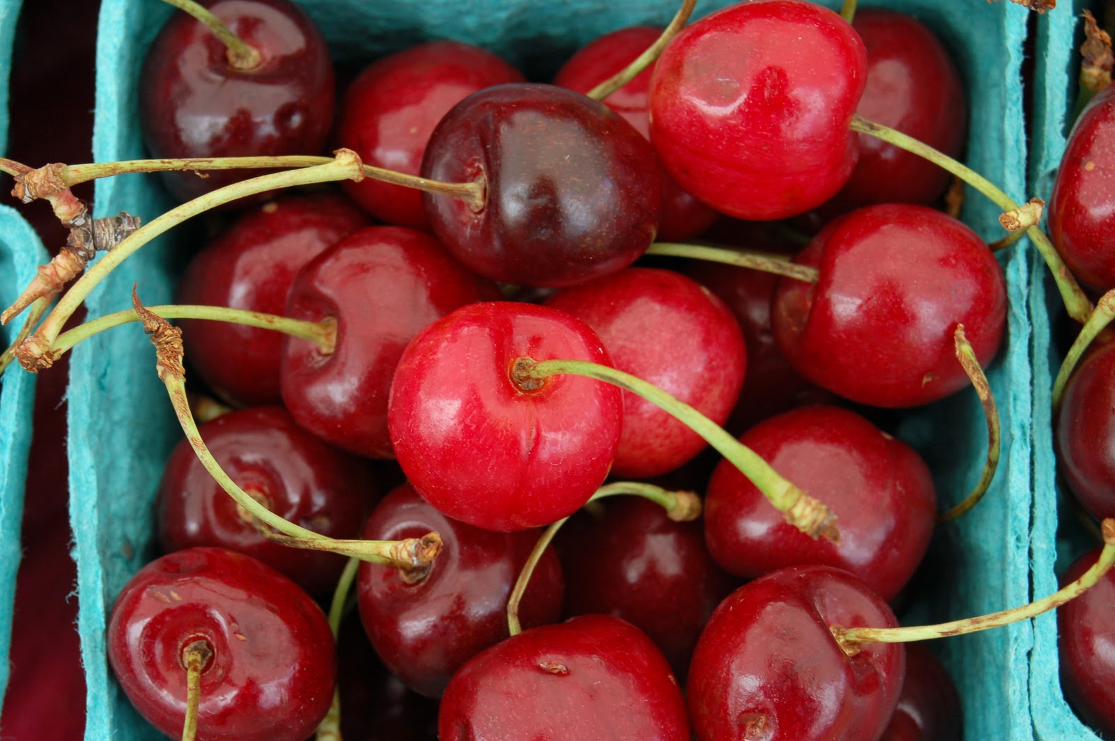 cheribundi BLOG The Benefits of Tart Cherries are Endless