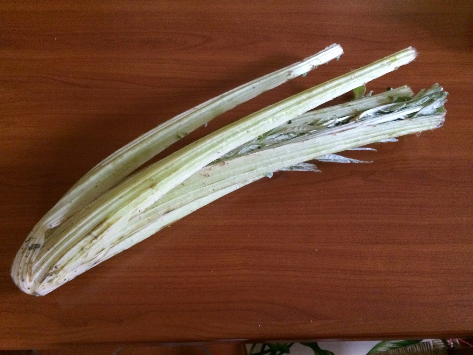 Villa Fenice Parmigiana di gobbi