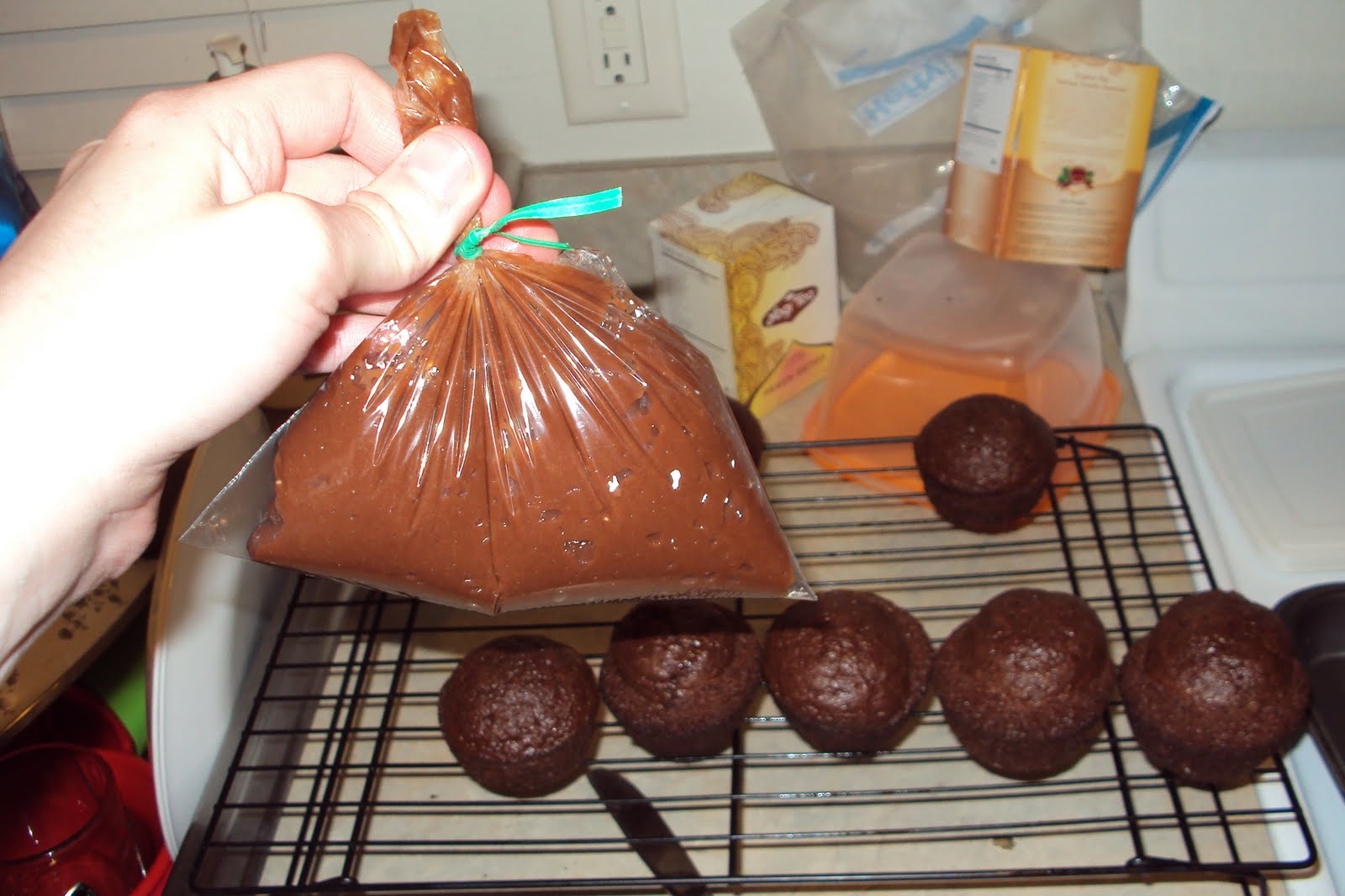 Our Adventure's Chocolate Pudding Filled Cupcakes!