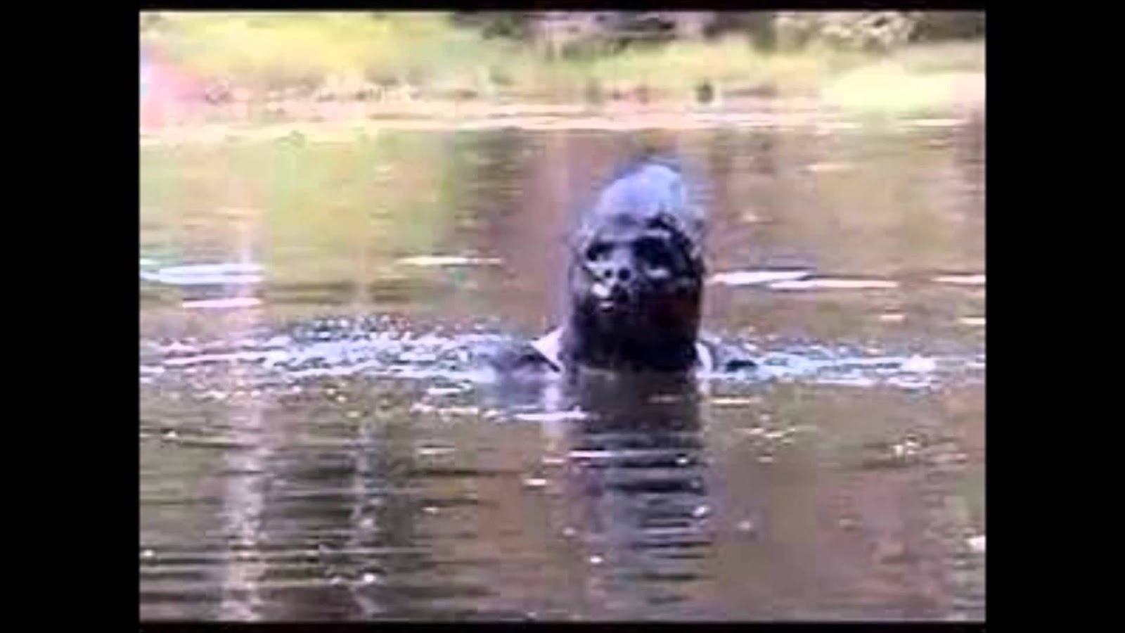 Ver Amor en su punto 2013 online - G Nula