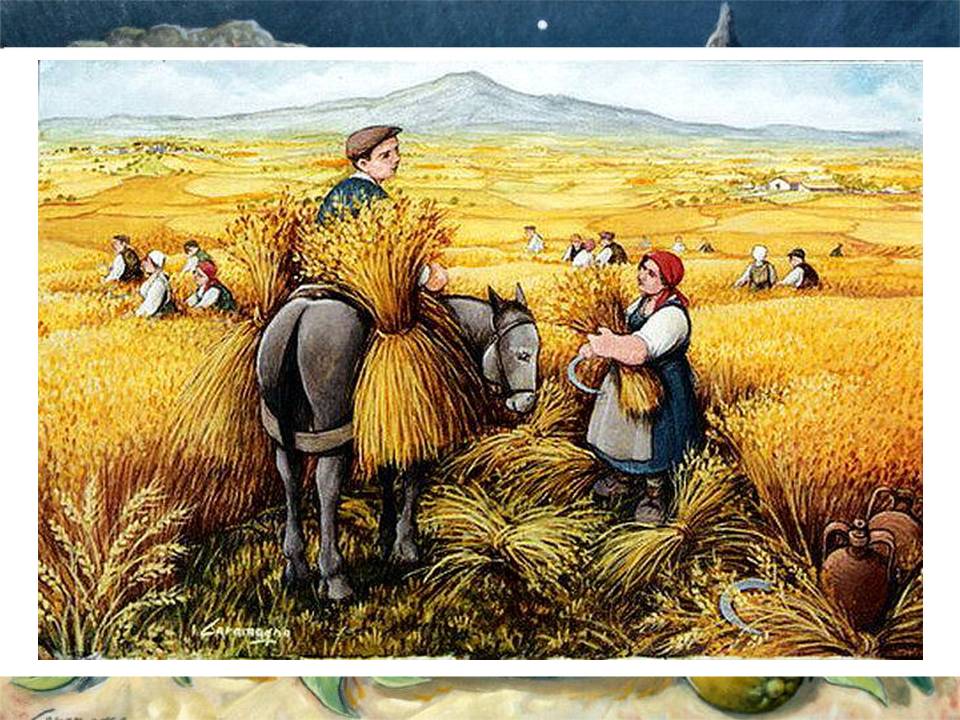 Жатва читать. Шукшин жатва. шукшин жатва иллюстрации. картина сельское хозяйство.