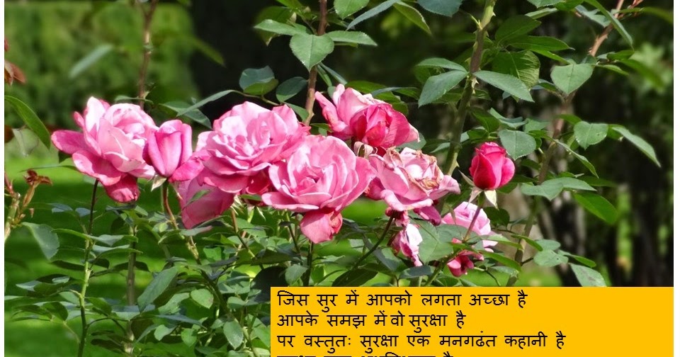 डर के आगे जीत  है 