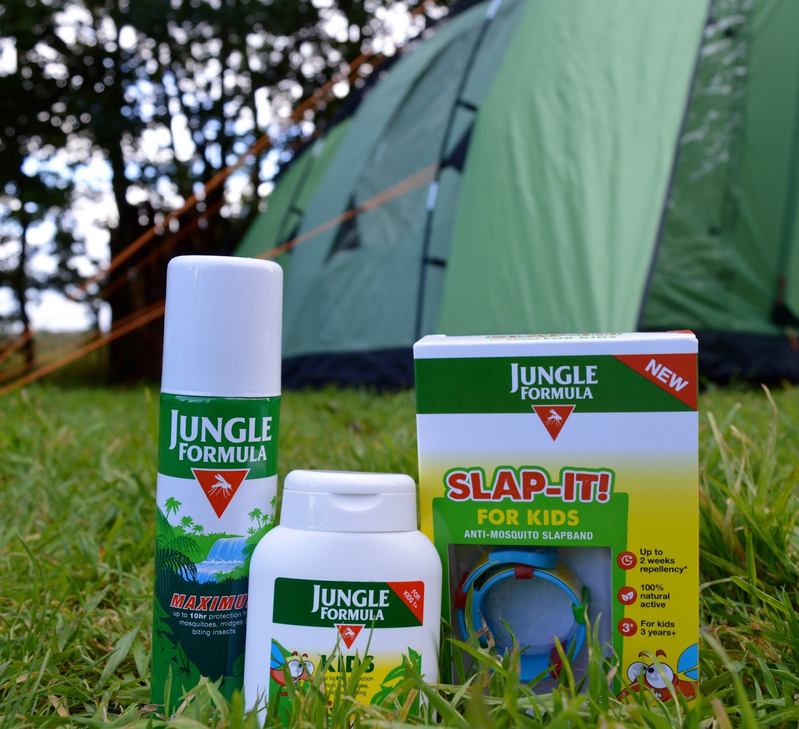 Top 10 Essentials for Wild Camping in the UK North East Family Fun