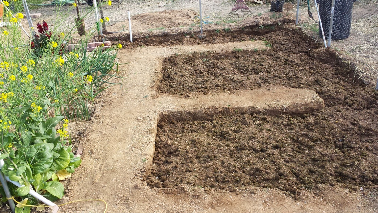 Вскопанные грядки. Лопата копать огород. Копка картофеля. Копка огорода. Перекопка огорода.