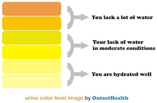 urine color level of dehydration