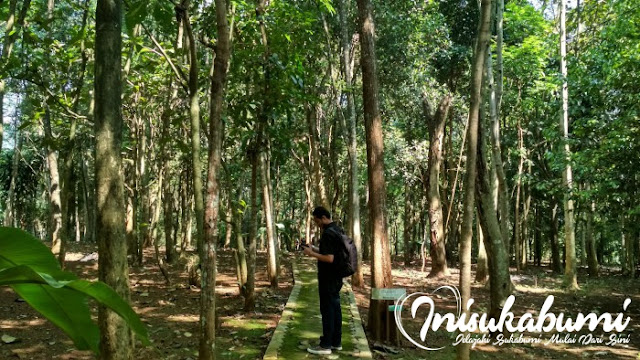 Suasana hutan kota Kibatai Cikundul Sukabumi Suasana hutan kota Kibatai