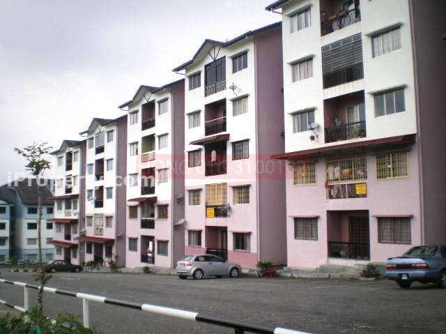 Apa Kata Fizah Mencari Rumah Sewa Di Cameron Highlands