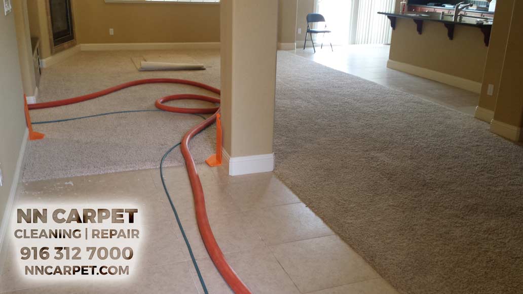 Carpet cleaning Folsom CA - Professional Whole House Carpet cleaning Services Carpet Cleaners Folsom Carpet Cleaners Folsom Carpet cleaning Folsom CA - Professional Whole House Carpet cleaning Services