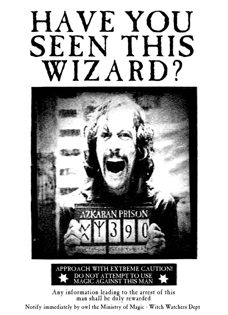 Free Printable Have You Seen This Wizard Printable Word Searches