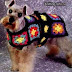 Patrón: Capa para mascota con pastillas cuadradas / grannies