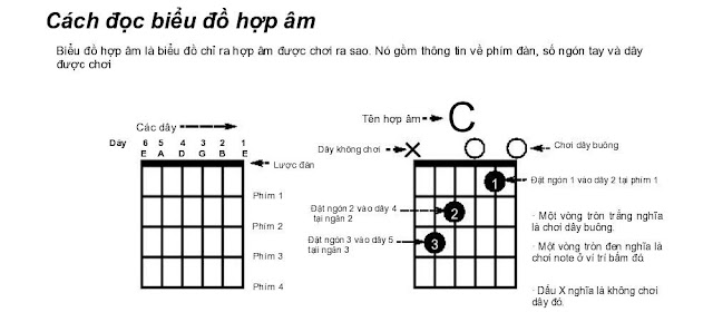 cách bấm hợp âm