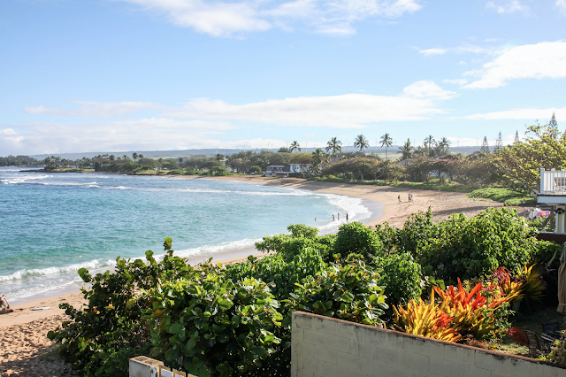 beach house,surf house,maison d'hotes,hawaii,oahu,haleiwa,rico leroy,surf,paddle,pirogue hawaiienne,surf and paddle guest house,déco